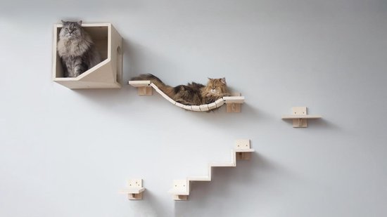 Het spijt me Uitgestorven les Katten klimmuur - Katten houden van klimmen